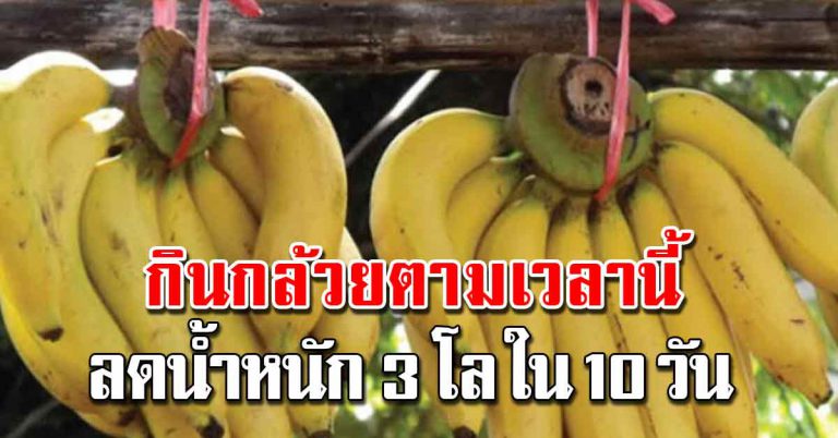 กินกล้วยตามช่วงเวลา 10 วันลง 3 โล แถมประโยน์เพียบ