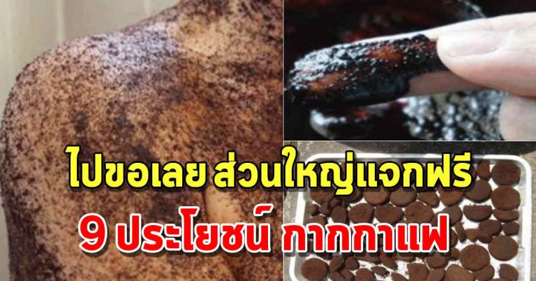 ประโยชน์ 9 ข้อ ของกากกาแฟ ไปขอตามร้านได้เลย