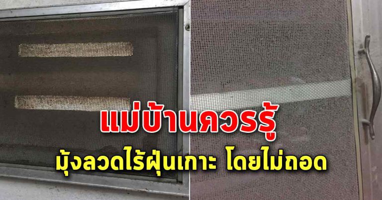 เปลี่ยนงานบ้านให้เป็นเรื่องง่าย ล้างมุ้งลวด แบบไม่ถอดล้าง