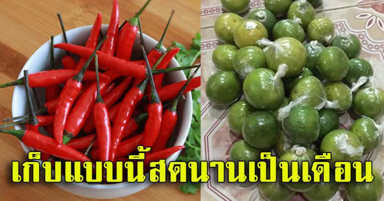 เทคนิคง่ายๆ ในการเก็บพริก เก็บมะนาวให้สดได้นานๆ ต้องทำแบบนี่ง่ายมาก