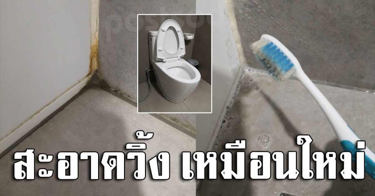 6 สูตร ลบคราบดำในร่องยาแนว ให้กลับมาขาววิ้ง หมดจดเหมือนใหม่