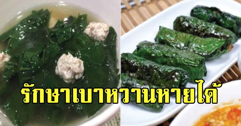 หากินง่ายตามรั้วบ้าน ผัก4อย่าง กินดี ประโยชน์เพียบ