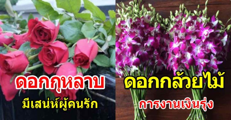 ดอกไม้บูชา 10 ชนิด เสริมโชคลาภเงินทอง ความรัก