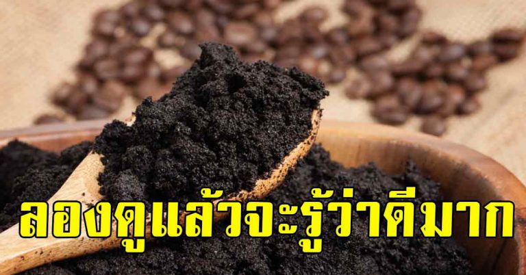 15 ประโยชน์กากกาแฟ รู้ว่ามันดีมาก ไปขอร้านกาแฟได้เลย