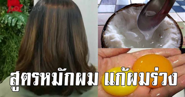 ผมหนา มะนาวกะทิหมักผม 5 สูตร เส้นผมสวยขึ้น ผมร่วง ผมบาง