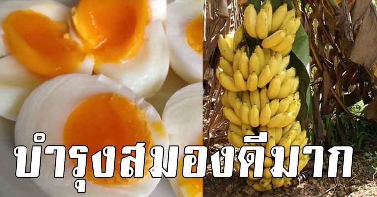 5 อาหาร กินตอนเช้าช่วยให้สมองดี หากินง่าย ไม่พุงใหญ่