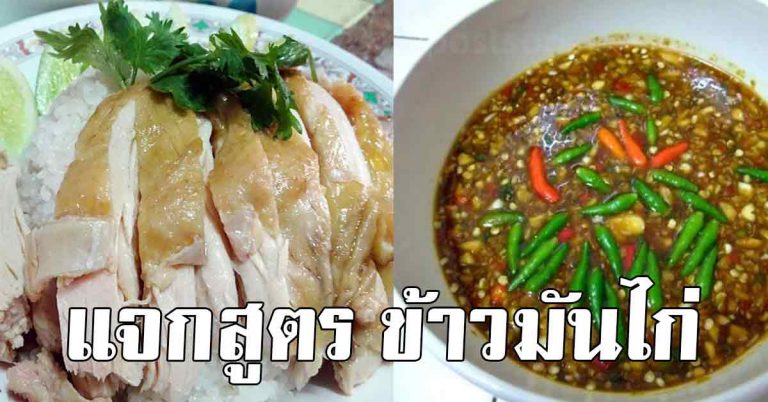 เก็บไว้ทำ สูตรข้าวมันไก่ หมดหม้อ พร้อมเคล็บลับน้ำจิ้มให้อร่อย