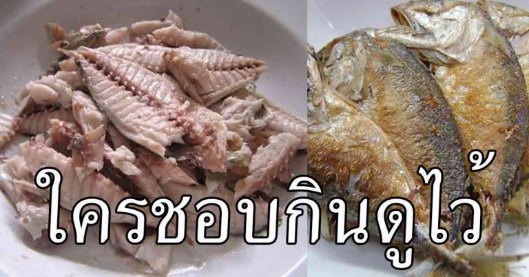 คนที่ชอบกินปลาทูบ่อยๆ รู้เอาไว้เลย  5 อย่าง ส่งผลกับร่างกายมหาศาล