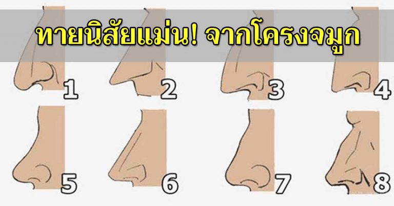 นิสัยจากโครงจมูก เป็นคนแบบไหน ดูคนรอบข้างได้