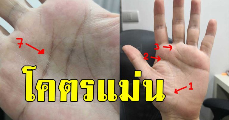 เผยทั้ง 7 ลักษณะ มือรวย ลายมือเศรษฐี กำลังจะรวย