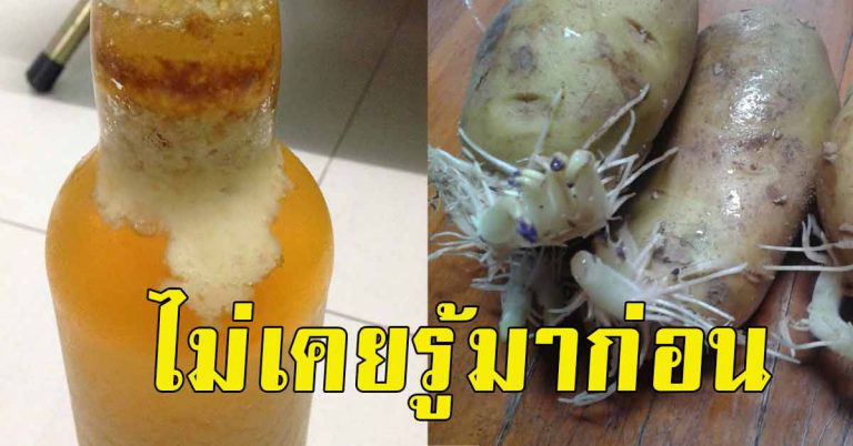 ของ 10 อย่าง ที่แช่ไว้ในตู้เย็นให้เอาออก ไม่เคยรู้เลย