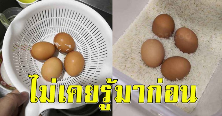 น่าจะรู้นานเเล้ว นำไข่ใส่ลงไปในถังข้าว ผลลัพธ์ได้ตามมา