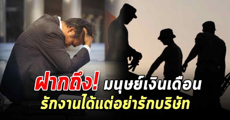 สำหรับมนุษย์เงินเดือน 7 ข้อ รักงานได้แต่อย่ารักบริษัท