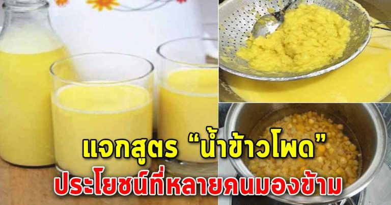 เครื่องดื่มน้ำนมข้าวโพด ดื่มดีมีประโยชน์ แถมอร่อยด้วย