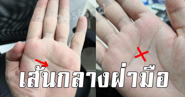 ยกมือขึ้นมามอง มีเส้นกากบาทกลางฝ่ามือ คนไหนมีดีมาก