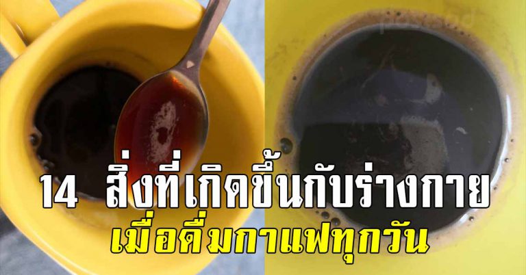 14 สิ่ง ที่เกิดหลังดื่มกาแฟ ทุกวัน ใครที่ชอบดื่มต้องรู้ไว้เลย