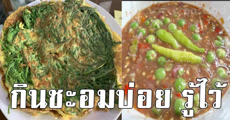 กินชะอมชุบไข่ทอดบ่อยๆ ควรรู้ไว้ ร่างกายจะเปลี่ยนไปเเบบนี่