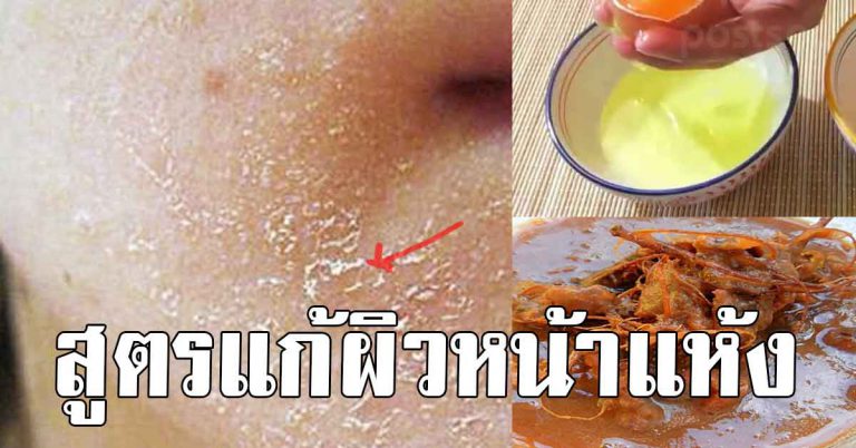 ผิวหน้าแห้ง แค่ใช้ไข่ขาว 3 เทคนิคทำให้ ผิวขาวใส เหมาะกับคน ผิวแห้งมาก