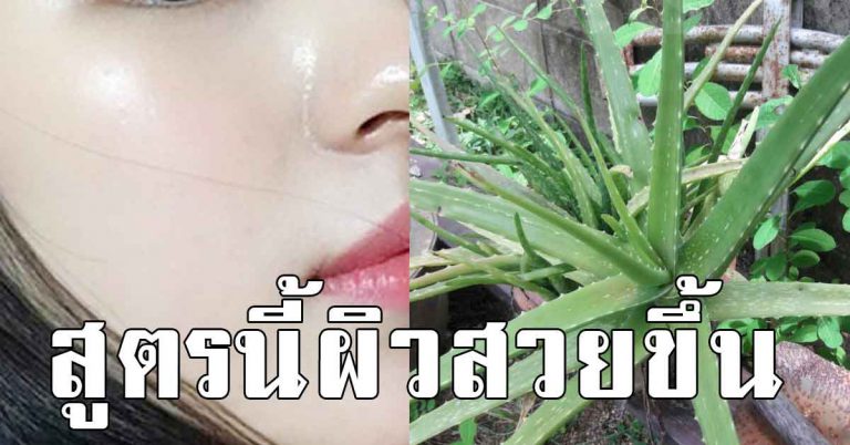 ผิวหน้าละเอียด แค่ใช้ว่านหางจระเข้ ผสมกับของ 4 สิ่ง ผิวเนียนใส