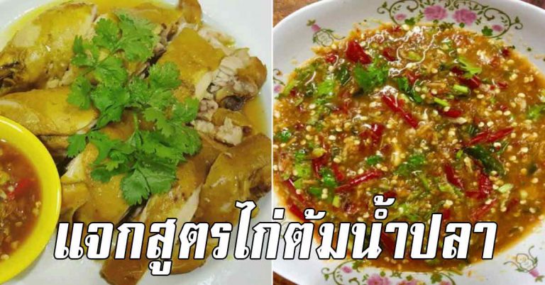 สูตรไก่ต้มน้ำปลา ฉบับบ้านๆ พร้อมน้ำจิ้มรสอร่อยใครทำก็ถูกใจ