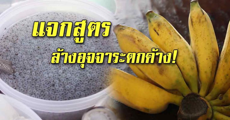 รวมสูตรล้างสะอาด หมดเกลี้ยง ทำแล้วหน้าท้องแบน ตัวเบา