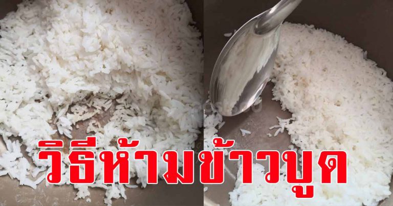 หม้อข้าวบูดต้องทำไง คาหม้อ แก้ปัญหาข้าวบูด ทำแล้วได้ผล