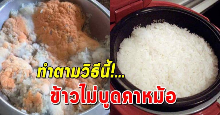 ข้าวบูดเร็ว แก้ได้ง่ายๆ ไม่ต้องหาซื้อหม้อใหม่