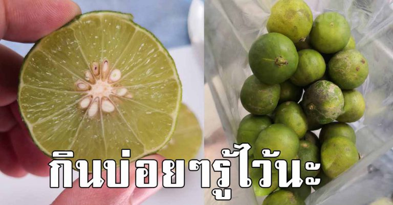 ดื่มน้ำมะนาวตอนเช้า ดื่มก่อนนอน ใครทำอยู่ให้รู้เอาไว้เลย