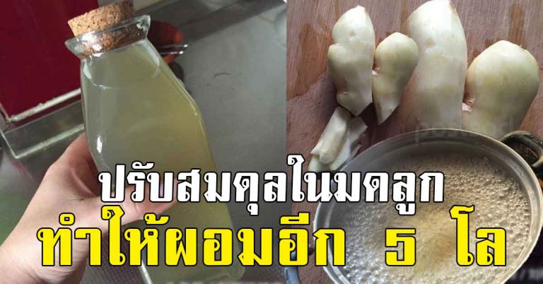 สูตรทำน้ำขิง ทำเองที่บ้าน รสชาติแบบร้านดัง ทำให้ผอมลงเกือบ 5 โล