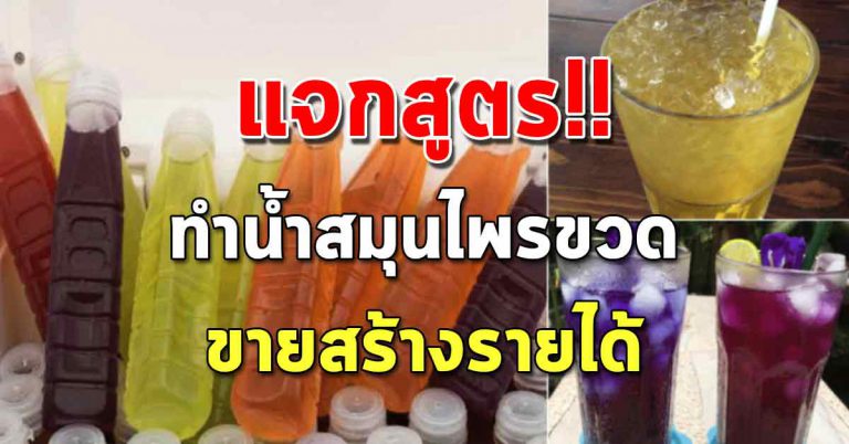 เก็บไว้ทำขาย 6 สูตรชงน้ำสมุนไพร บอกทุกขั้นตอน ทำสร้างอาชีพ