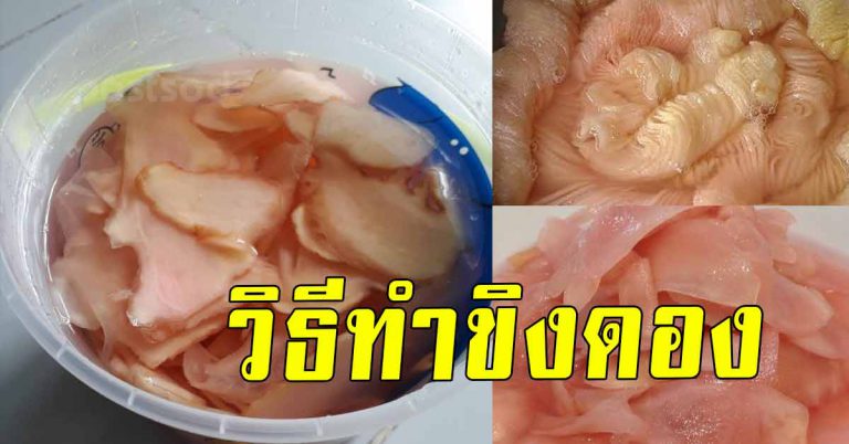 สอนเทคนิค วิธีการทำขิงดองทานเองแบบง่าย สะอาด ปลอดภัย