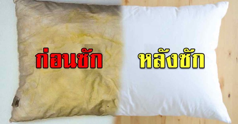 คราบติดทน เปลี่ยนหมอนเหลืองกลับมาขาวสะอาด เคล็ดลับสุดง่าย