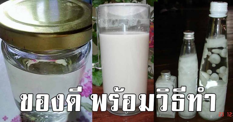 น้ำมันมะพร้าว สุขภาพดี พร้อมการทำน้ำมันมะพร้าวสกัดเย็น