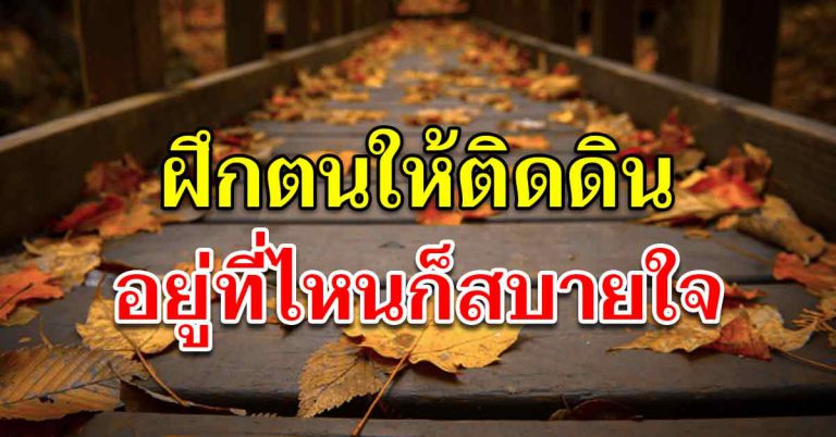 8 วิธี การใช้ชีวิตแบบติดดิน อยู่ที่ไหนก็สบาย