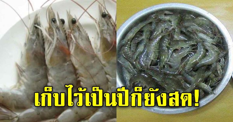 วิธีการเก็บกุ้งให้อยู่ได้นาน คงความสดใหม่ อยู่ได้ตลอดทั้งปี