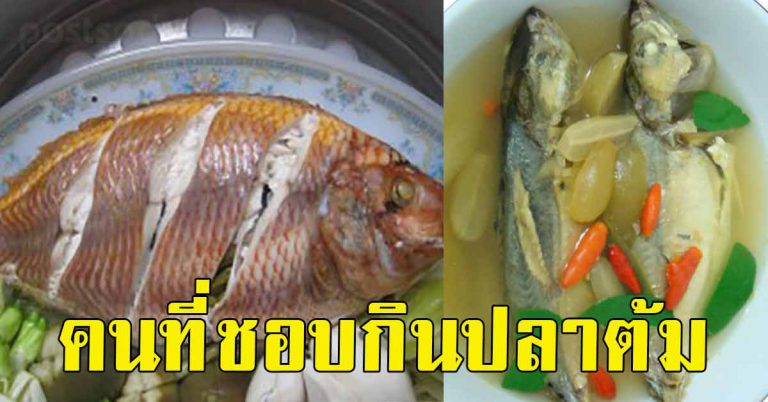 ใครที่ชอบกินเนื้อปลา ปลาต้มบ่อย 6 สิ่งที่เกิดกับร่างกาย เมื่อกินปลาทุกวัน