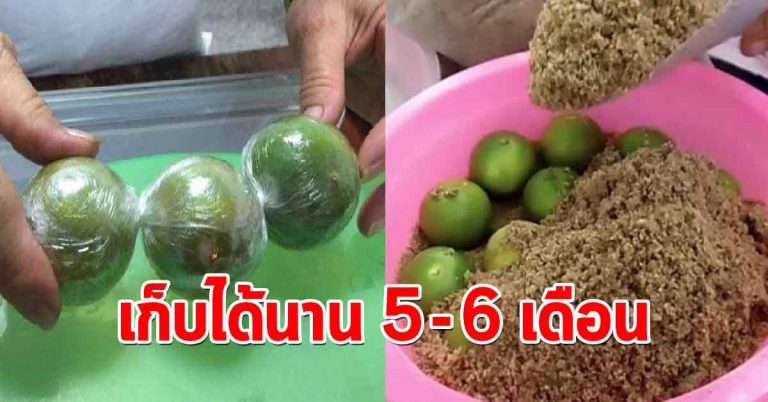 8 เคล็ดลับง่ายๆ เก็บมะนาวให้สดใหม่ เปรี้ยวเหมือนเดิมได้หลายเดือน