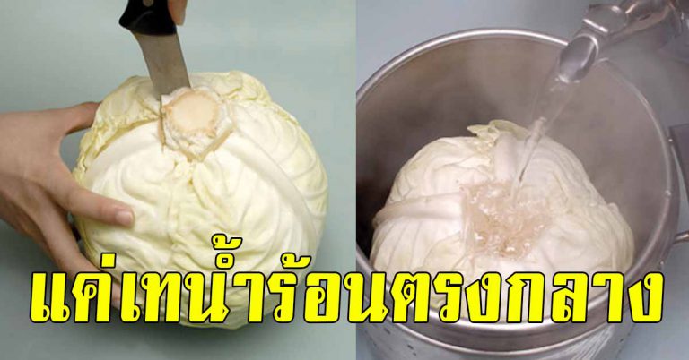 คนค้าขาย รู้ไว้เลย เพียงเทน้ำร้อนทิ้งไว้ตรงกลางกะหล่ำปลี