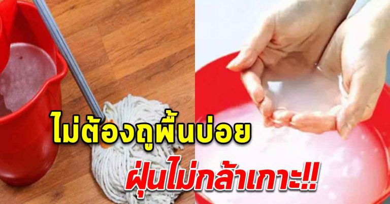 ถูพื้นให้สะอาด ไม่ต้องถูบ่อยๆ อาทิตย์ละครั้งก็ยังได้