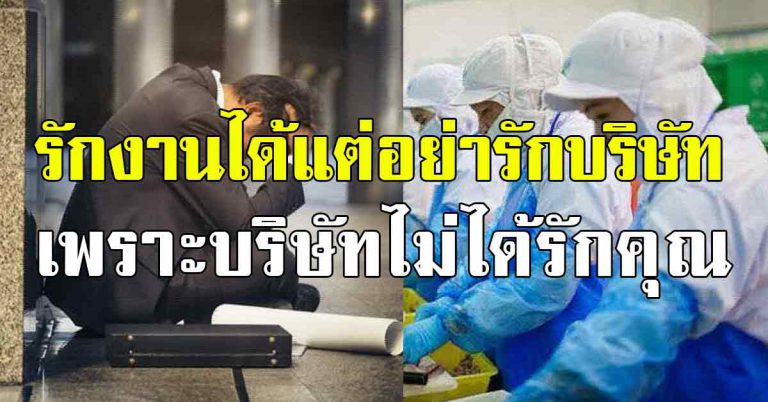 6 ข้อคนทำงาน รักงานได้ แต่อย่ารักบริษัท ข้อเตือนใจคนทำงาน