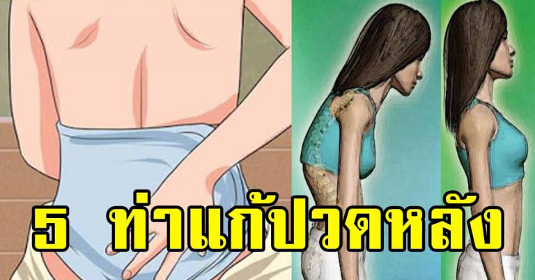 หลังตึง เมื่อย 5 ท่าโยคะ แก้หลังค่อม ไหล่ห่อ แค่ 5 นาที