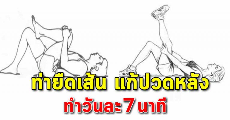 ทำวันละ 7 นาที ช่วยยืดได้มาก เบาสบายตัว