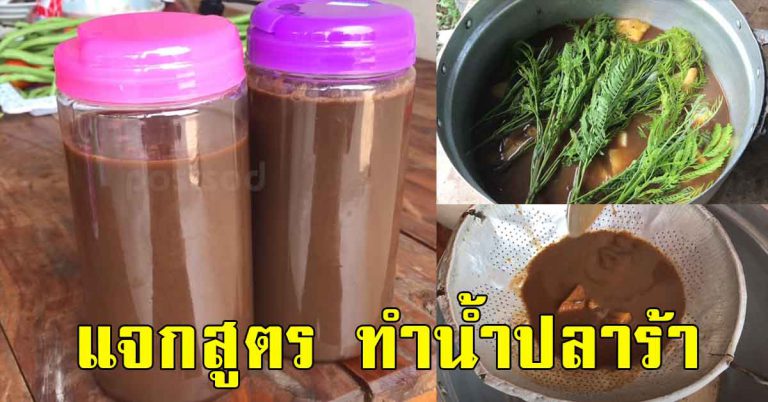 เก็บสูตร น้ำปลาร้านัว แบบไม่หวงเครื่อง รสหอมกล่อม อร่อยมาก