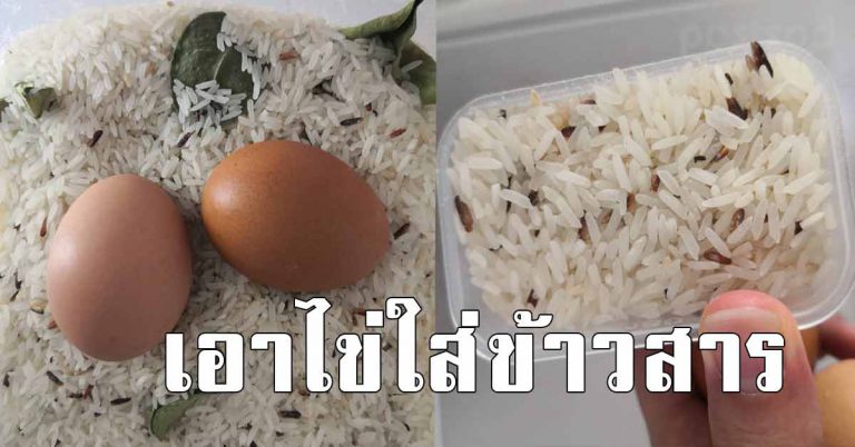 แค่นำ ไข่ไก่ ใส่ลงในถังข้าวสาร จะได้ผลลัพธ์ออกมา