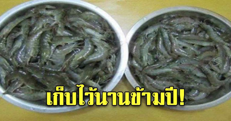 เก็บกุ้งได้นาน ข้ามปีก็ยังสดใหม่ เหมือนเพิ่งซื้อมา