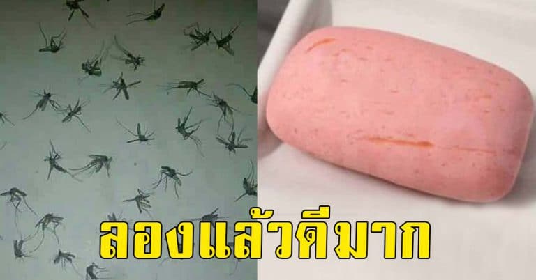 แค่ใช้เศษสบู่ในห้องน้ำ กับ น้ำตาลทราย จบปัญหาง่ายๆ