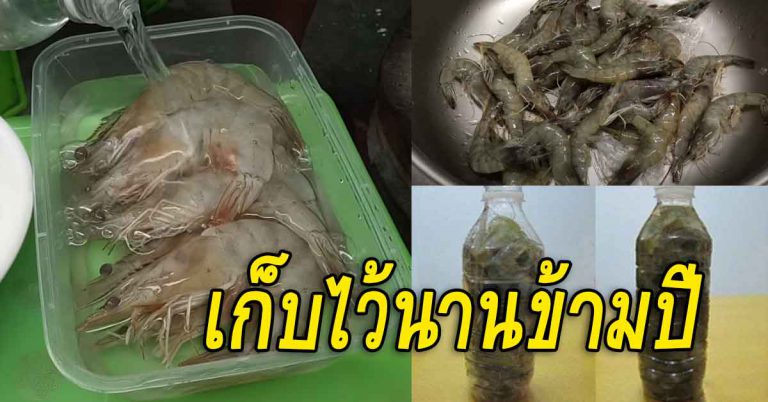 เก็บกุ้งให้นาน ข้ามปียังไงก็ยังคงสดใหม่ เอามาใช้เหมือนเพิ่งซื้อมา