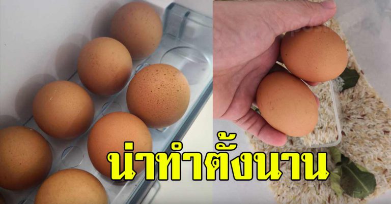 โยนไข่ไก่ในถังข้าวสาร ผลลัพธ์ที่ได้ สิ่งที่หลายคนมองข้าม