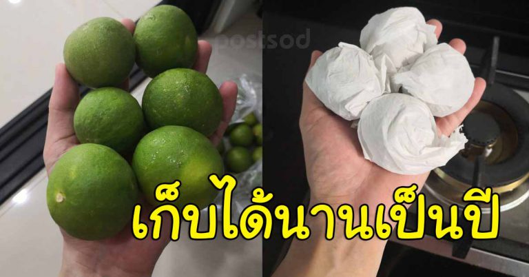 บอกแม่บ้าน วิธีเก็บมะนาวให้นาน 5-6 เดือน น้ำเยอะเหมือนเดิม