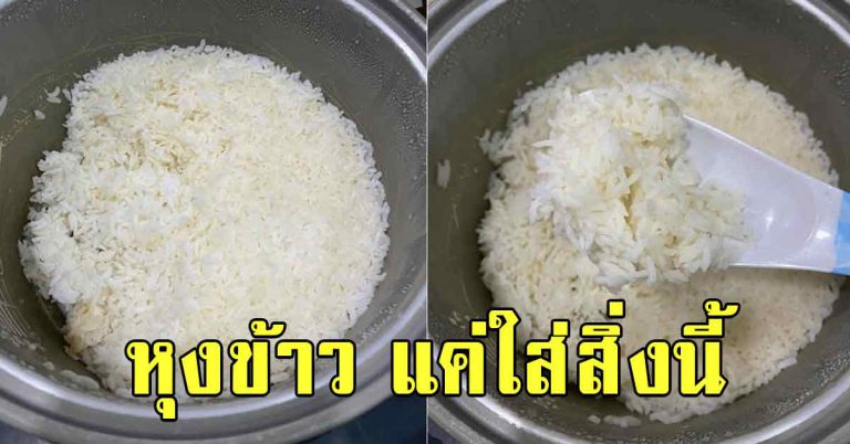 เคล็ดไม่ลับ ก่อนปิดฝาหุงข้าว ให้ใส่ลงไป ข้าวอร่อยขึ้นหลายเท่า